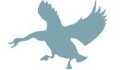 Wild Goose Logo