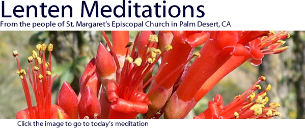 Lenten Meditations from the desert